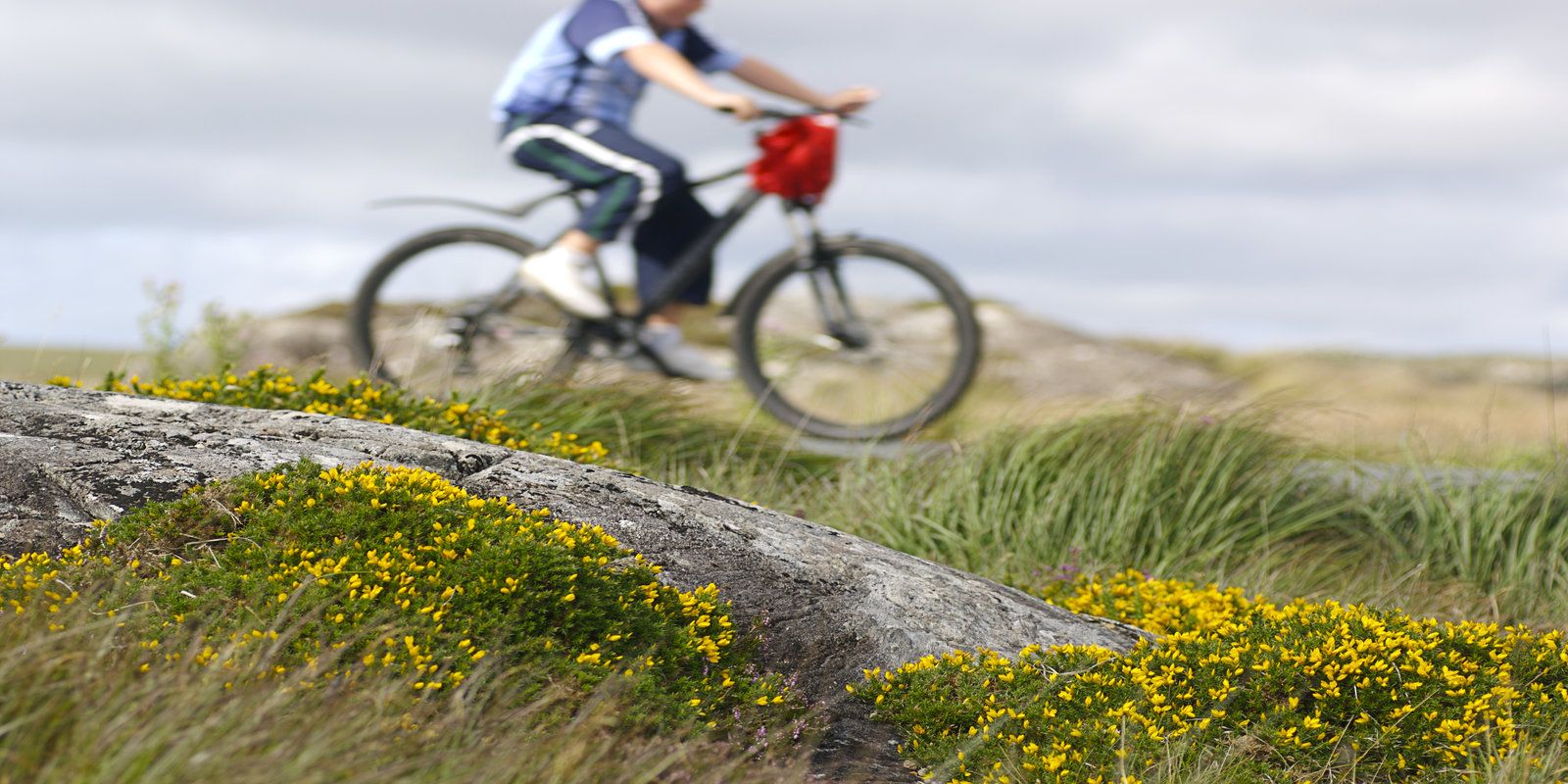 Cycling Celtic Ross