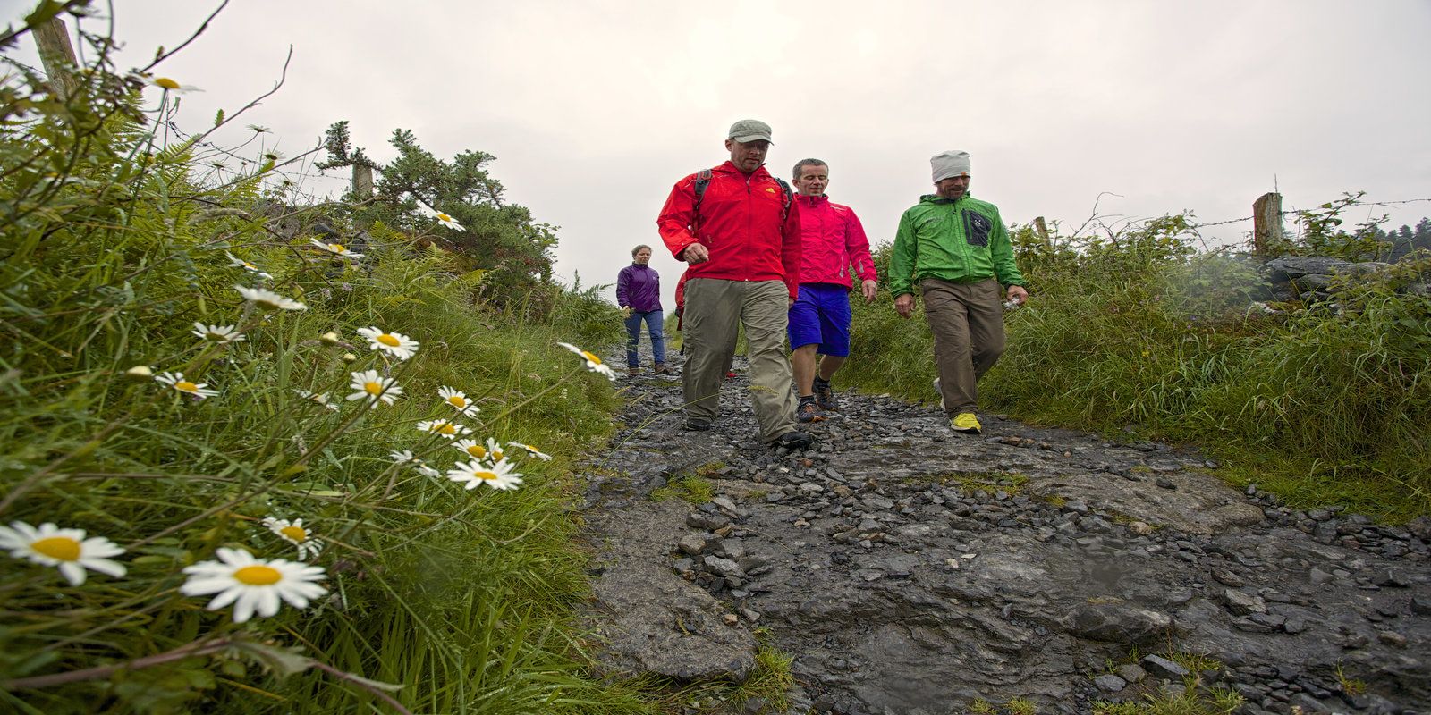 Walking Celtic Ross Hotel