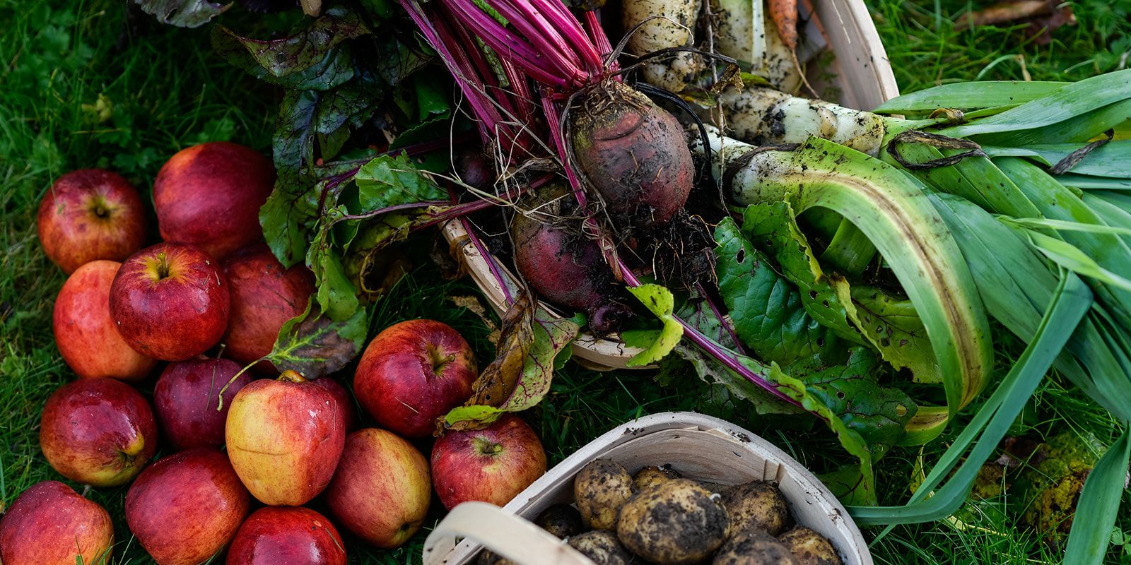 Mount Congreve Gardens, Monthly vegetable boxes, Co Waterford_TI716CA
