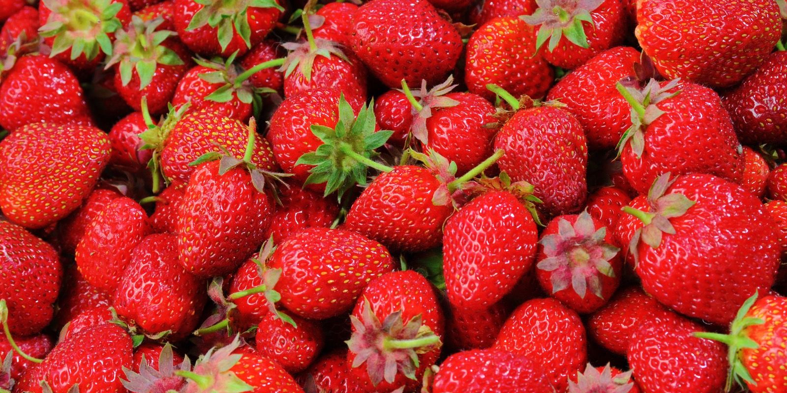 strawberries local produce celtic ross