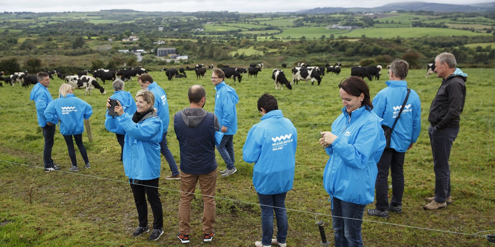 West Cork Farm Tours Aug 17 Austrians - 4