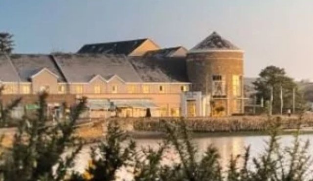 Best Online Rate Guaranteed 