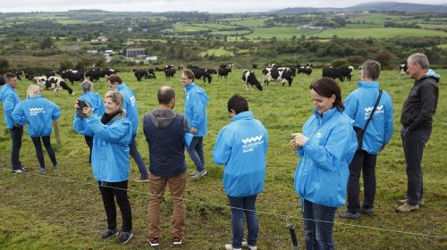 West Cork Farm Tour