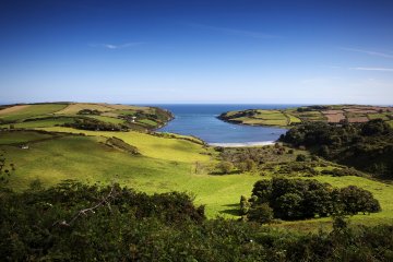 West Cork by Felicity Hayes-McCoy