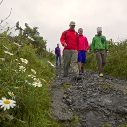 Walking Trails