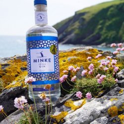 Clonakilty Distillery Gin Experience