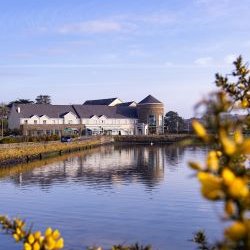Celtic Ross Experiences